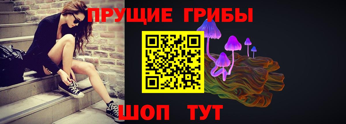 Галлюциногенные грибы Psilocybe  Вход с VPN  Ростов-на-Дону 